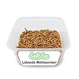 EntoZoo - Lebende Mehlwürmer - Futtertier für Reptilien, Vögel, Fische & Nagetiere - einzeln entnehmbar, frisch, proteinreich, artgerechte Tierernährung, leicht zu füttern, 1 Kg