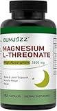 Magnesium L-Threonate Kapseln - Magnesiumpräparat mit hoher Absorption - Magnesium Kapseln - 1,800 mg - 120 Stück