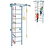 HOMASIS Klettergerüst Indoor, 5 in 1 Sprossenwand mit Klimmzustange, Turnringe, Strickleiter, Kletterseil, Metall Kletterwand Turnwand für Erwachsene & Kinder, Sportgeräte 100 kg belastbar (Blau)