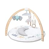 aden + anais Erlebnisdecke mit Spielbogen AAGM10001 Rising star