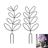 2 STK Rankhilfe Zimmerpflanzen, Topfpflanzen Rankgitter für Kletterpflanzen, Metall schwarz Pflanzenstütze Rankhilfe für Kletterpflanzen Garten Blumen Pflanzkübel(Blattstil)