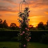 ABC Home | Rankhilfe Obelisk | 240 cm H