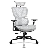NAIZY Bürostuhl Ergonomisch Office Chair 90°-135° Drehstuhl Höhenverstellbar Schreibtischstuhl mit Lendenwirbelstütze und Hochklappbaren Armlehnen Bürosessel, Typ E Grau