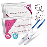 25 Ovulationstest+10 Schwangerschaftstest, Kinderwunsch Ovulationstest Kit, Ovulationstest mit 25 miu/ml Optimaler Sensitivität, Schnelle und Genaue Ergebnisse, Fruchtbarkeitstest für Frauen