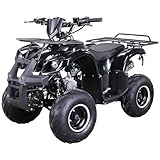 Actionbikes Motors Kinder Quad ATV S-8 Farmer 125 cc | 4-Takt 125ccm Motor bis 𝟓𝟎 km/h - Kinderquad - Pocket Quad - Miniquad - Benzin Quads - Kinderfahrzeug - Für Kinder ab 8 Jahren (Schwarz)