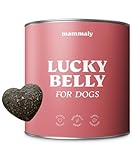 mammaly Probiotika für Deinen Hund - Lucky Belly 110 Drops (325g) - Bei Magenprobleme & Verdauungsprobleme für Magen-Darm, Verdauungssnacks bei Gras fressen & Kotfresser Leckerlies mit Huhn