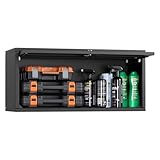 VEVOR Hängeschrank Werkstatt, 770x305x356 mm, Werkzeugschrank mit hochklappbarer Tür, 54 kg Tragkraft pro Regal, Wandhängeschrank, geeignet für Garage, Keller, Küche, Lager, Montage erforderlich