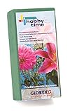 GLOREX 6 3804 721 - Steckschaum für Frischblumen, saugstarke Steckmasse für Blumengestecke und Dekorationen, ca. 23 x 11 x 7,5 cm groß, grün, individuell zuschneidbar