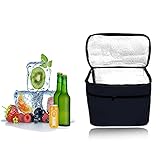 HIQE-FL Kühltasche Faltbar,10L Picknicktasche Kühltasche,Thermotasche Klein,Isoliertasche Lunch,Kühltasche Eistasche,Lunch Tasche,Kühlbox für Picknick (schwarz)