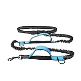 Verstellbare Führleine Laufleinen für Hunde, Hundezubehör, Leine für Hunde, Zubehör, Haustier, elastisch Hundeleine(Blue with Cotton)