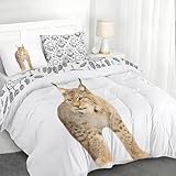 YZQGLHP Bettwäsche 220x240, Wildtiere Wendebettwäsche, Feldkatze Motiv Bettbezug mit Reißverschluss, Weiche Mikrofaser Bettwäsche Sets 3 Teilig mit 2 Kissenbezug 80x80