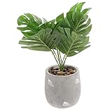 GREENADSCAPE Schildkrötenblatt-Topfpflanze Heimdekorationen Boden-Bonsai-Ornament nordisches Dekor Blätterdekor kunstpflanze kunstplflanze pottd Boden Bonsai-Dekor Partyschmuck Plastik Green