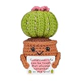 Zonoori Positive Geschenke Kaktus, Glücksbringer Positiv Mutmacher Potato