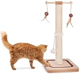 CanadianCat Company | Kratzstamm für Katzen - Charly - mit Spielzeug | interaktives Katzenspielzeug selbstbeschäftigung | mit 60cm-hoher Kratzsäule | ca. 29 x 29 x 65 cm