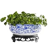 TOIVO Lotusschalen-Übertopf, weißer Keramik-Lotus-Pflanztopf mit Kunststoffsockel, 19,8 cm, Lotusform, Hydrokultur-Wasserlilien-Blumentopf