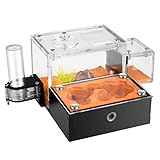 Rimsunta Ameisenfarm Ameisenhaus für Ameisenfarm für Erwachsene Studie des Ameisenverhaltens Ameisennest Ameisenterrarium Pädagogisches Formicarium für lebende Ameisen und Königin