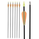 NIKA ARCHERY 30 Zoll Pfeil Fiberglas Bogenschießen Zielpfeile – Übungspfeil oder Jugendpfeil für Recurvebogen Compoundbogenschießen (6 Stück)