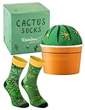 Rainbow Socks - Cactus Box Socks - Ein Kaktus in Einem Blumentopf – Damen Herren Grüne Kaktussocken – ein Lustiges Geschenk für Kaktus Sukkulente und Pflanzenfans - 1 Paar - Größen 41-46