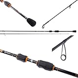 Mikado BIXLITE MEDIUM Ligth Spin JIG Rute Spinnrute 2,22m/ 112g/ Wg.1-15g Zander