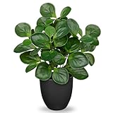 Oairse 37 cm Kunstpflanzen im Topf, Künstliche Zimmerpflanze Künstliche Peperomia mit Minzblättern Dekoration für Desktop Bonsai, Kunstpflanzen mit Töpfen Tischdeko Haus Balkon Büro Deko
