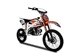 KXD 612A 17/14' 125ccm Dirt Bike Dirtbike CrossBike Enduro DirtBike pocket 125cc Pitbike PocketBike Motocross Motorrad Motorbike Motorsport Pocket Vollcross Crossbike OVP (Rot)
