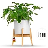Groon Blumenständer Holz - Verstellbarer Premium Pflanzenständer für 20-30 cm große Pflanzentöpfe - hellbrauner Blumenhocker Pflanzenregal Pflanzenhocker aus Bambus - plant stand indoor und outdoor