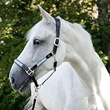 Brama West Pferde Halfter Bellano Covalliero - Leder Halfter in Allen Größen - Blau/Grau - Gr. Full