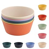 Müslischalen Salat Schüsseln 8er Set, Leichte Salatschüssel Unzerbrechlich Salatschüsseln Mikrowellengeeignet Hausfelder Suppenschüssel für Salat Ramen Suppen Müsli Nudeln Reis(1500ml)