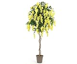 Kunstpalmen Goldregenbaum Künstlich, 180 cm, Gelb, Polyester Textilfasermaterial mit Naturstämmen, Premium Qualität, mit Zementtopf, Handgefertigt in EU