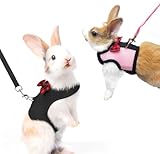 2 Stück Kaninchen Geschirrleine Haustier Geschirr und Leine Verstellbares Hasen Geschirr Softgeschirr mit Leine für Kaninchen Hasengeschirr Kaninchengeschirr für Kleintiere Kätzchen Haustier