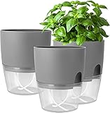 iDattel Kräutertopf Küche Set Fensterbank selbstbewässernd-3er Set Kräutergarten für die Küche,18.2X 11x 15.3 cm, für frische Küchenkräuter, Grau