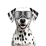Enjoying Hunde Sonnenbrille Schutzbrille für Mittelgroße Hunderassen UV-Schutz, Motorrad Augenschutz für Hunde, Winddicht, Staubdicht, Schneefest, Weicher Rahmen, Elastische Bänder, Schwarz