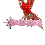 Vogelsitzstange Für Vogelkäfig, Käfigständer für Vögel, Nagespielzeug Zum Krallenwetzen Und Trainingsspielzeug Für Sittiche Und Nymphensittiche