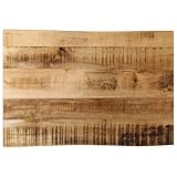 vidaXL Tischplatte, Holzplatte für Tisch Esstisch Couchtisch, Massivholzplatte Baumkante, Ersatztischplatte, 60x40x2,5cm Raues Mango Massivholz