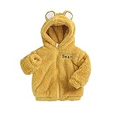 Winterjacke Jungen Kinder Fleecejacke Mädchen Langarm Übergangsjacke Zipper Hoodie Warme Teddymantel Walkjacke Winter Sportjacke Outdoorjacke 1-6 Jahre