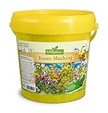 Bienenweide Bienen-Mischung bis zu 200qm Bienenfreundliche Mischung verschiedenster Sommerblumen Blumensamen Garenblumen