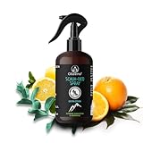 OLLEENO® Schuhdeo-Spray gegen Gerüche (250 ML) – Natürliches Schuhspray mit extra starker Wirkung Lang anhaltende Frische mit Zitronen-Eukalyptus & Süßorange