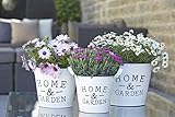 Wunderschönes Zink Pflanzgefäß/Pflanztopf - Home & Garden - Indoor & Outdoor - Frostfest - Weißer Zinktopf/Zinkgefäß/Blumentopf/Tischdeko (Alle Größen im Sparset)