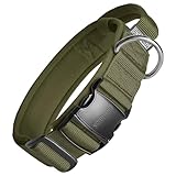 OneTigris Hunde Halsband mit Metallschnalle für Hunde Ranger Grün