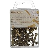 Westcott Musterbeutelklammern 100 Stück | Vorteilspack Messing Musterklammern 13mm mit Rundkopf | Rundkopfklammern für Büro und DIY | E-10592 00