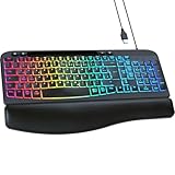 footreal Kabelgebundene Tastatur beleuchtet, 7 Farben Einstellbare Helligkeit, USB PC Tastatur mit Komfortabler Handballenauflage & Handyhalterung, Kompatibel mit Windows/Mac Systemen
