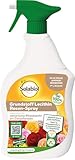 Solabiol Grundstoff Lecithin Rosen-Spray 1 l