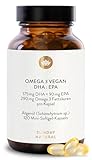 SUNDAY NATURAL® Omega 3 Vegan - 120 Softgel Kapseln - 1.000 mg Algenöl pro Tagesdosis: 350 mg DHA und 180 mg EPA - Leicht schluckbare Omega 3 Kapseln hochdosiert - Laborgeprüft