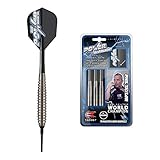 Target Darts Phil Taylor Silverlight Brass Softdarts-Set Dartpfeile