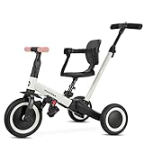 Dreirad ab 1 Jahr mit Schubstange 6in1 - Laufrad ab 1 Jahr - Dreirad mit Schubstange - Baby Fahrrad ab 1 Jahr - Fahrrad Kinder - Laufräder - Lauflernrad mit Schubstange