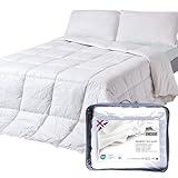 Homescapes Seidendecke 135x200 cm, warme Winter-Bettdecke Maulbeerseide mit 550 GSM Füllung aus Seide & Funktionsfaser, kuschelige Bettdecke mit Baumwollbezug, Wärmeklasse 4