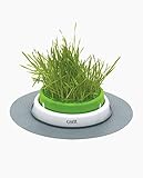 Catit Grass Planter, Katzengras, Katzengrastopf mit Abdeckgitter, 1 Stück (1er Pack)
