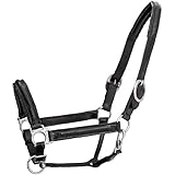 Brama West Pferderhalfter Leder Halfter -Croc- Stallhalfter mit Lackauflage in Kroko-Prägung Gr. Full