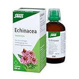 Salus - Echinacea-Tropfen - Zur kurzzeitigen Vorbeugung von Erkältungskrankheiten - 1x 100ml Flasche