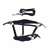 Horse Halter Set, verstellbares Pferdehalfter mit 2m Leine, gepolstert, Navy blau - komfortabel, reibungsfrei, für Training und täglichen Gebrauch